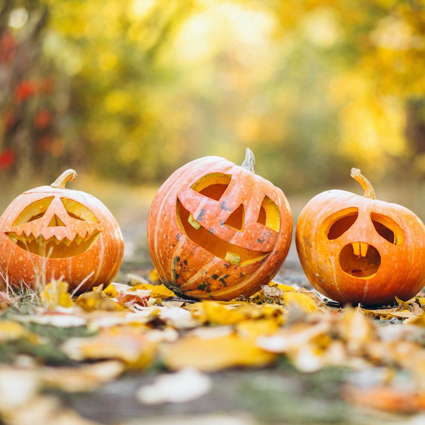 Ideas to Celebrate Halloween During Covid Time